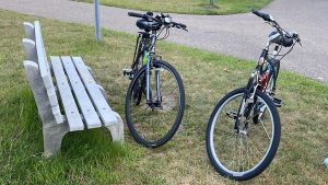 Read more about the article सैली धन्नो की सहेली