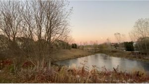 Read more about the article Back-Home जाऊंगा