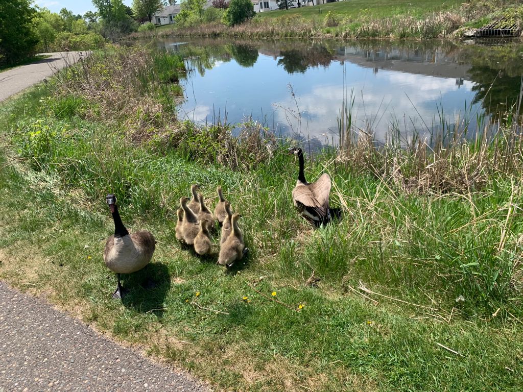 Read more about the article हम दो हमारे दो