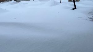 Read more about the article शुभ चिंतकों के नाम पत्र